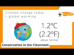 How Climate Change Affects Us and Nature, and What We Can Do About It