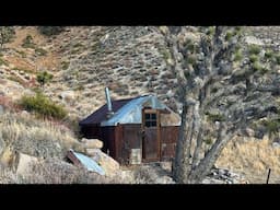 Remote Miner’s Cabins in a Joshua Tree Wonderland