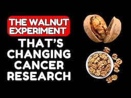 The Walnut Experiment That’s Changing Cancer Research