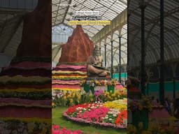 Lalbagh Flower Show Republic day 26 January 2025 | Lalbagh botanical garden| #lalbagh #shorts