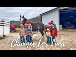 UNEXPECTED UPDATE For Our Rehab Mare, Luna❤️