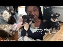 I GOT A PUPPY | puppy prep + first 24 hours ♡