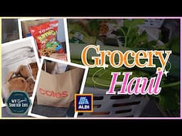 Australian Grocery Haul | Aldi and Coles | July 2024 | Family of 6 + Pets