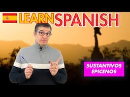 ✅ The Ultimate Epicene Nouns Guide | Learn Spanish by Listening 🎧