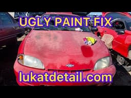 My Car Paint Is Killing Me! Lukat That Paint!