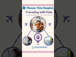 Travelling With Cats & Dogs #pets #petsrelocation #petsimport #petsexport #flywithcat #flywithpet