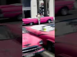 Havana Classic Car Lineup!🇨🇺#short #shorts #shortvideo #shortsfeed #viralvideo #viralshorts #car