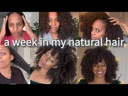 a week in my natural hair : promoting hair growth,  wash day, and ringlet curls