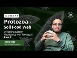 Unlocking Garden Abundance with Potozoa | Part 3 with Kevin Chee