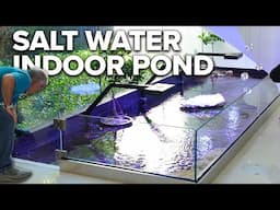 Jap... this is a SALT WATER indoor pond!! - My dream..