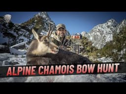 Ultimate Alpine Chamois Hunting by Bow - The Hunters Club