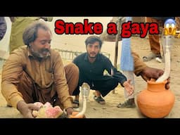 Snake a gya 😱|| Aj tou Allah ny bcha liya