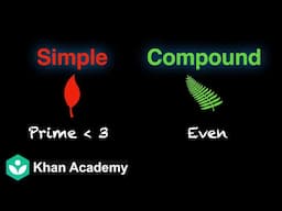 Simple and Compound events | Probability | Grade 11 | Math | Khan Academy