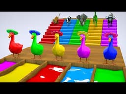 Long Slide Game With Elephant Gorilla Buffalo Hippopotamus Tiger 3d Animal Game Funny 3d Animals 216