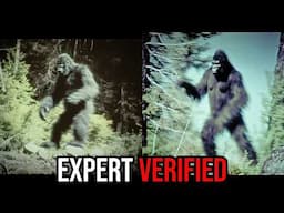 EXPERTS Sound the Alarm: Newly LEAKED Trail Cam Footage You Shouldn’t Ignore