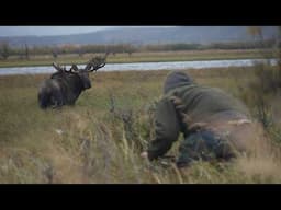 Too CLOSE for Comfort! Recurve Bowhunting Alaskan Moose