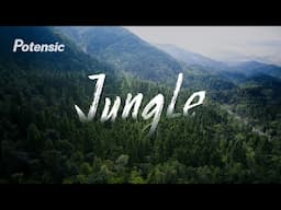 Potensic Atom | Lost in the jungle