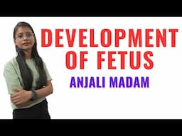 Development of Fetus II Midwifery and Gynaecological Nursing II Anjali Mam II