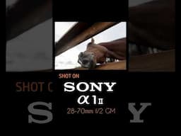 Unlock Greatness with the All-New Sony 28-70mm f2 GM || Available At Samy's!