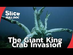 Giant King Crabs Threaten Europe's Arctic Waters | FULL DOCUMENTARY