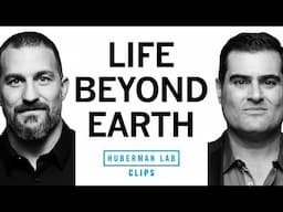 Is There Life Beyond Earth? | Andrew Huberman