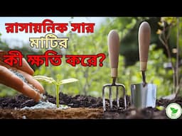 মাটির স্বাস্থ্য ভাল রাখতে কী করবেন?  Chemical or Organic Fertilizer: What to Use in Garden