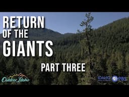 Return of the Giants: Part 3 | Outdoor Idaho