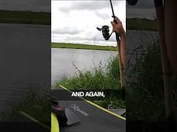 Chunky baits for chunky fish! Watch the full video via the on screen link  #livematchfishing