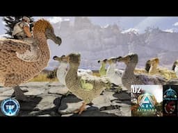 King of the Dodos! Ark Survival Ascended | Annunaki | Primal Chaos | Astraeos