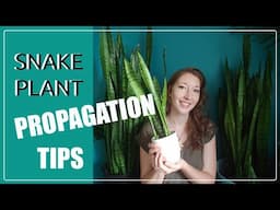 SNAKE PLANT PROPAGATION TIPS! How To Propagate Snake Plant Via Leaf Cuttings.