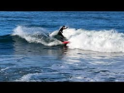 Exploring Elwha Beach at High Tide with Skye