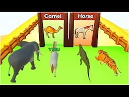 Animal Transform Race - Animals Run Gameplay Part 1