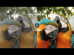 Master Color Grading for STUNNING vivo X200 Pro LOG Videos!