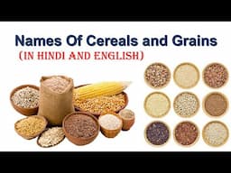 Names Of Cereals In English And Hindi I अनाजों के नाम I List Of Names Of Cereals I Grains I Cereals