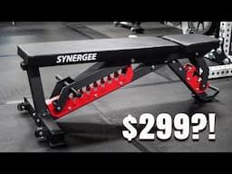 Synergee Adjustable Bench - REP Competitor or Pretender?