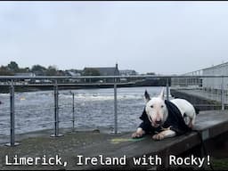 An afternoon in Limerick, Ireland with Rocky!