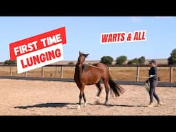 Get Your Horse to Lunge in Minutes NOT Hours