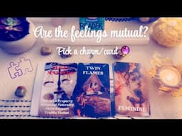 Are the feelings mutual? 💕👩‍❤️‍💋‍👨 Pick a charm/card