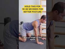 Hold This for 10-20 Seconds for BETTER POSTURE! #posture #backstrength