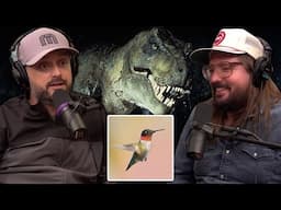 Talking Birds & Dinosaurs on Nateland | Dusty Slay