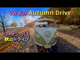 Driving 1961 VW Bus in Autumn - East Coast Fall ワーゲンバス走りおさめ