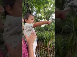 Visited Singapore Zoo with our Toddler! Best zoo in the world #minivlogs