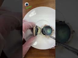 TikTok Eye Dissection - follow me on TikTok for more quick biology videos