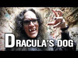 We Found Dracula's Dog in Hollywood - Zoltan The Hound of Dracula Filming Locations   4K