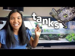 TURTLE TANK IDEAS FOR 2023! (reacting to my subscribers turtle tanks)