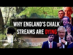 Why England's Chalk Streams are Dying