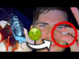 This GIGANTIC ROACH DID The MOST DISGUSTING THING TO ME!