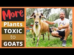 More Plants Toxic to Goats | Worlds DEADLIEST Plant | Plant Identification