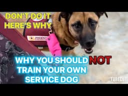 Why Is Owner Training Your Own Service Dog A BAD Idea? What Happens If Your Dog Can No Longer Work?