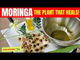 🌿MORINGA'S Healing Power! 🇯🇲